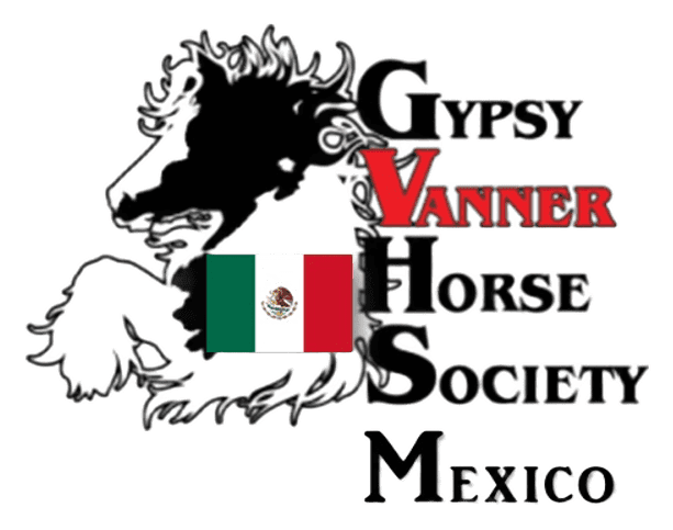 GVHS México Logo